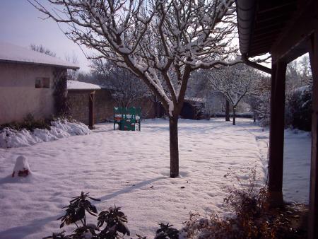 sous la neige...