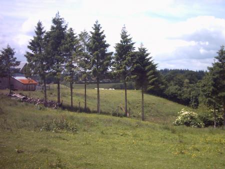en vallée de la Druance...
